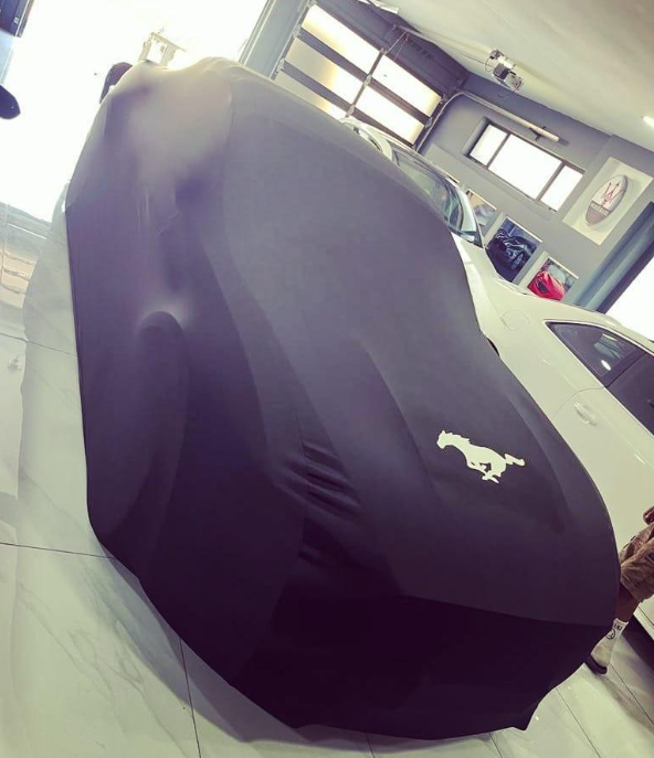 FORD MUSTANG MACH E Indoor Car Cover For All Model