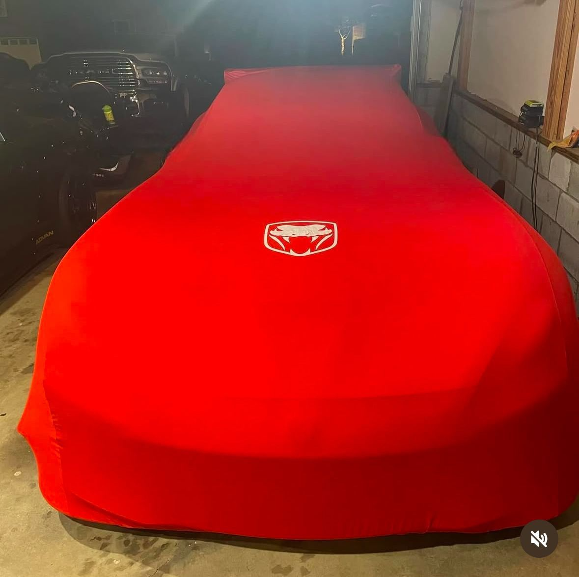 For Dodge Viper Indoor Car Cover For All Model