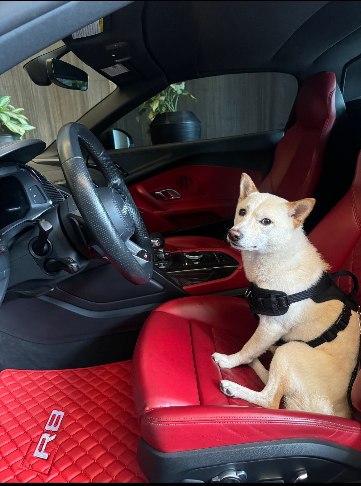 For Audi R8 Car Floor Mats Custom fit Leather for all Audi R8 Model Waterproof Carpet Liner